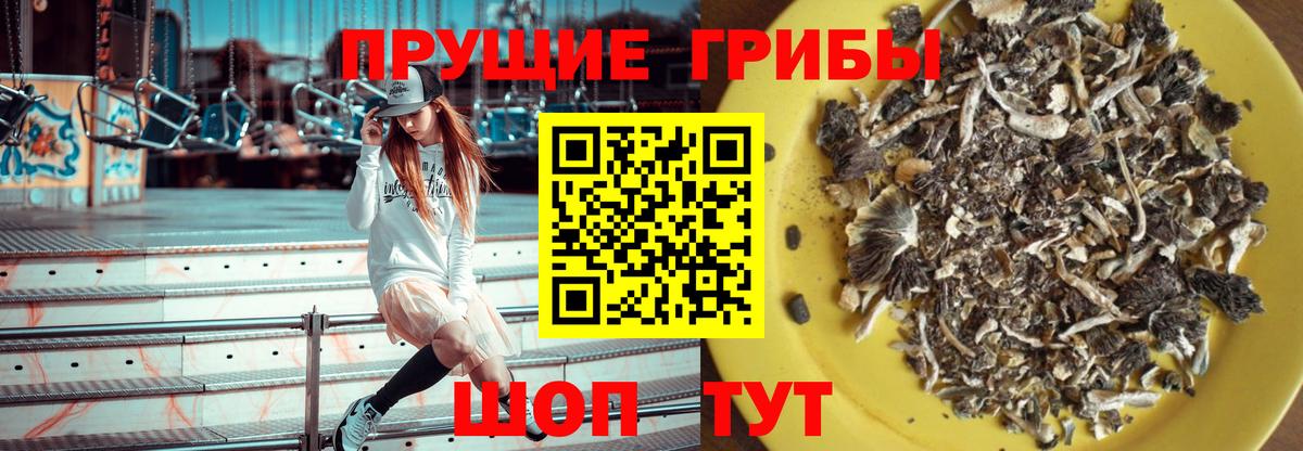 Галлюциногенные грибы Psilocybe Воткинск